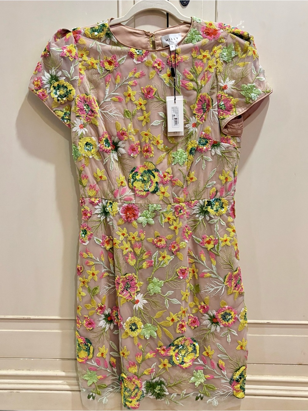 Milly Nude Mesh Mini Dress with Multicolor Floral Embroidery